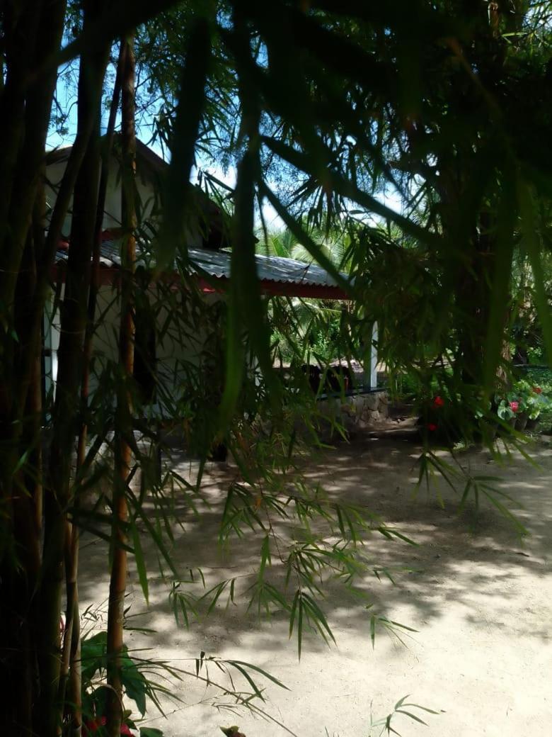 Soma Cabana, Homestay & Restaurant Tangalle Extérieur photo